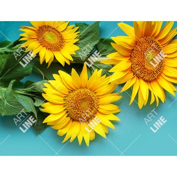 Coppia Tovagliette Sunflower